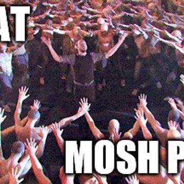 mosh pitting