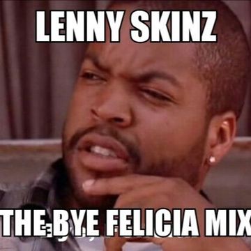 Lenny Skinz - The Bye Felicia Mix