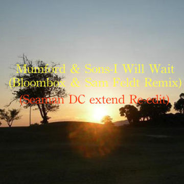 Mumford & Sons - I Will Wait (Bloombox & Sam Feldt Remix) (Seaman DC extend Re-edit)