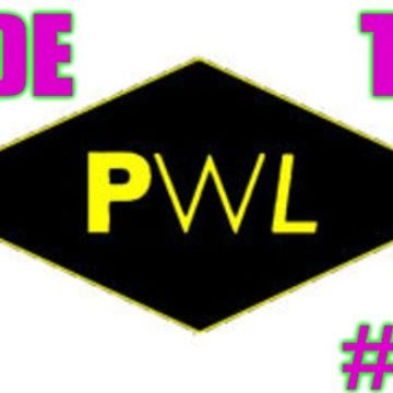 DJ DropOut pres:Ode To PWL #1