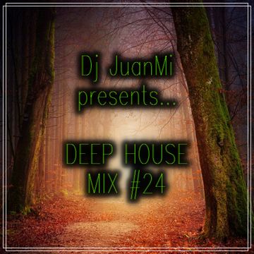 deep house mix 24