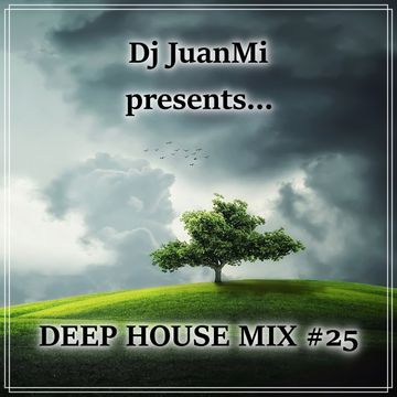 deep house mix 25