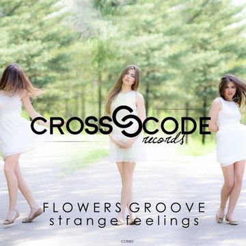 Flowers Groove   Strange Feelings (Topo Remix)