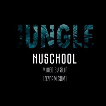 Jungle nuschool mix By DJ Slip Live at 87bpm.com