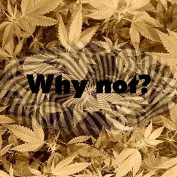 Skippy Groover - Why not (Original Mix)