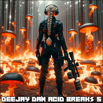 DeeJay Dan - Acid Breaks 5 [2024]: 303 | Breakbeat | Acid | Breaks #acidbreaks #deejaydan #breakbeat