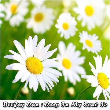 DeeJay Dan - Deep In My Soul 35 [2017]