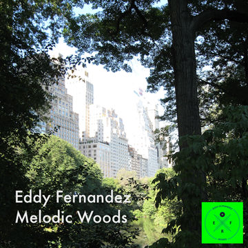 Eddy Fernandez - Melodic Woods