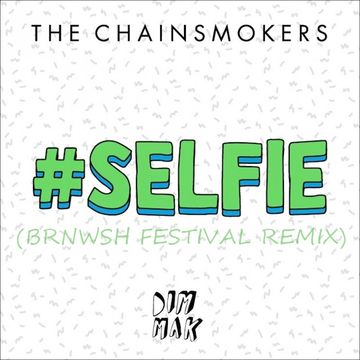 The Chainsmokers - #Selfie (BRNWSH Festival Remix)