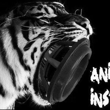 Animal1888instincts