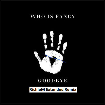 Who Is Fancy   Goodbye (RichieM Extended Remix)