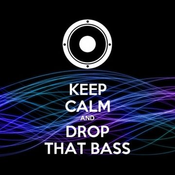 Enjoy the Bass