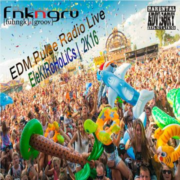 DJ FnknGrv Presents EleKtRoHoLiCs 2k16