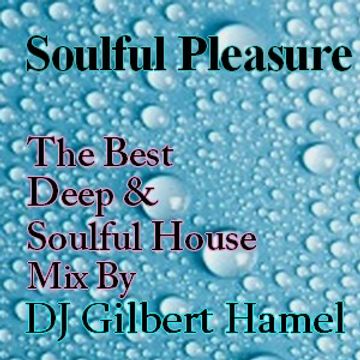 Soulful Pleasure 21 (Back In Time)