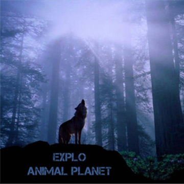 Explo - Animal Planet 
