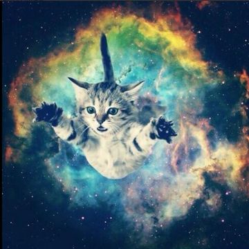 A Galaxy with Dancing Cats [123bpm]