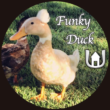 Funky Duck