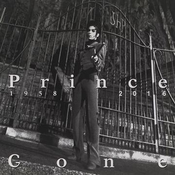 Prince Megamix 