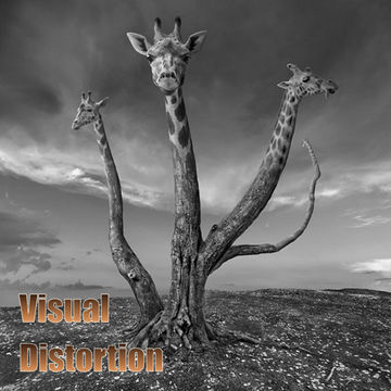 20th September 2020 Visual Distortion