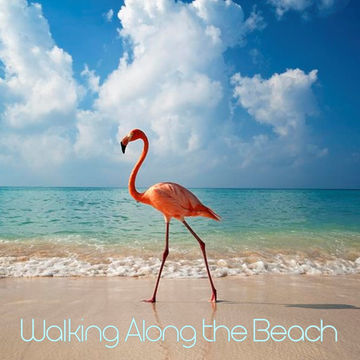 3rd September 2019 Walking Along the Beach