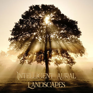 16th December 2019 Intelligent Aural Landscapes