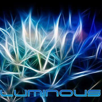 8th March 2022 Luminous 