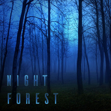 23rd June 2020 Night Forest