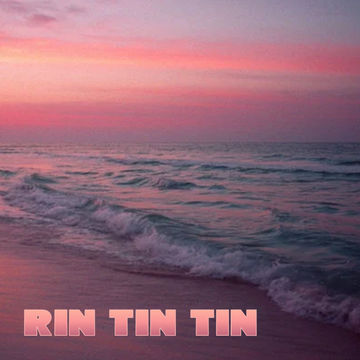 3rd June 2022 Rin Tin Tin 