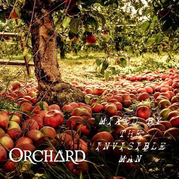 30th August 2023 Orchard