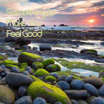 25th January 2020 Something to Make You Feel Good