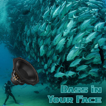 20th December 2019 Bass in Your Face