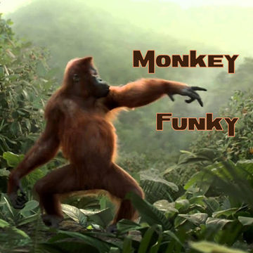 13th January 2020 Monkey Funky