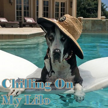 1st August 2019 Chilling On My Lilo