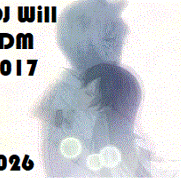 DJ Will EDM 2017