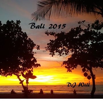 DJ Will - Bali 2015