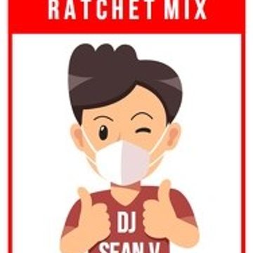 HIP HOP RAP MINI MIX DJ SEAN V