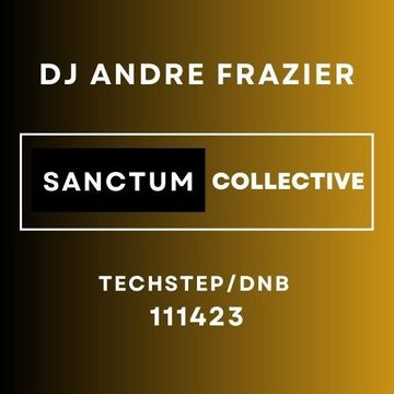 SANCTUM COLLECTIVE TECHSTEP:DNB 111423A