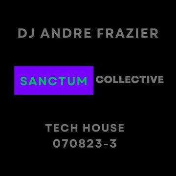 SANCTUM COLLECTIVE TECH HOUSE  070823-3