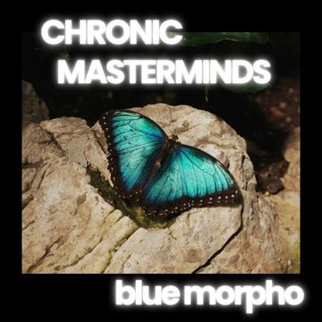 chronic masterminds.  blue morpho