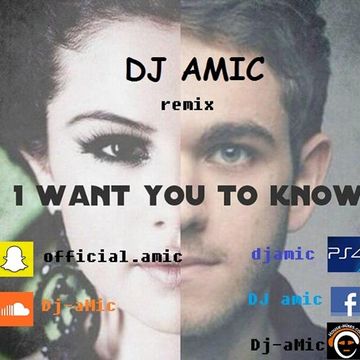 Zedd feat. Selena Gomez   I Want You To Know (dj AMIC remix)