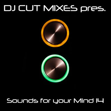 DJ CUT pres. Sounds for your Mind 014