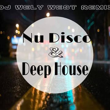 nu disco with deephouse