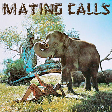 MatingCalls