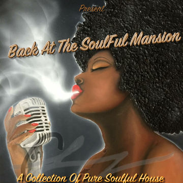 Dr Disco   Back At The Soulful Mansion