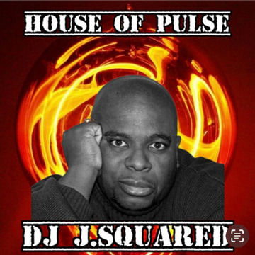 Love of House (House Of Pulse Mix)