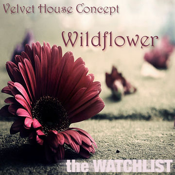 Velvet House Concept v.14 - Wildflower