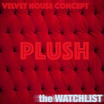 Velvet House Concept v.30   Plush