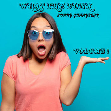 What The Funk ? Vol.1