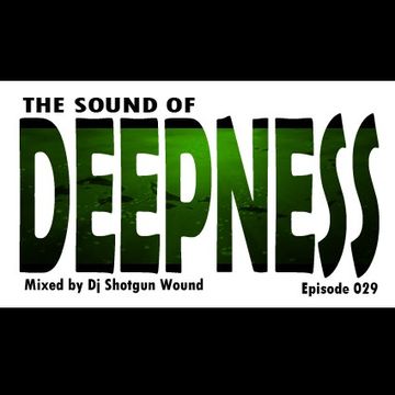 SGW The Sound Of Deepness Episode 29