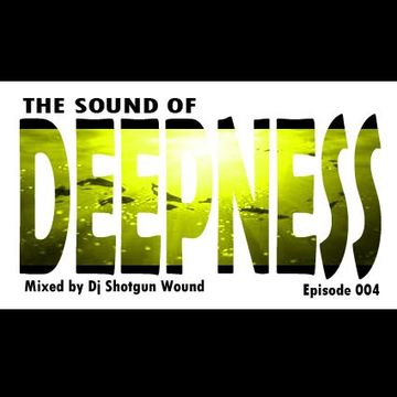 SGW The Sound of Deepness Episode 004